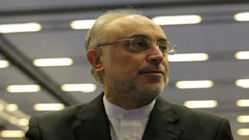 صالحي: المرحلة الأولى من الاتفاق حول البرنامج النووي الإيراني ستنتهي مطلع شباط القادم