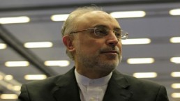 صالحي: المرحلة الأولى من الاتفاق حول البرنامج النووي الإيراني ستنتهي مطلع شباط القادم