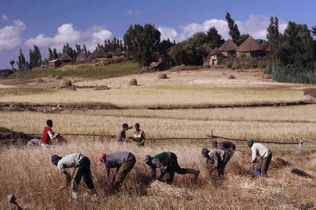 العدالة البيئية والإمبريالية الإيكولوجية1 (1/2)