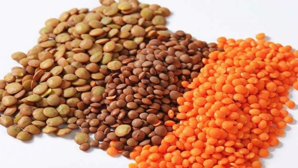 &laquo;أسرار طبية&raquo; للعدس