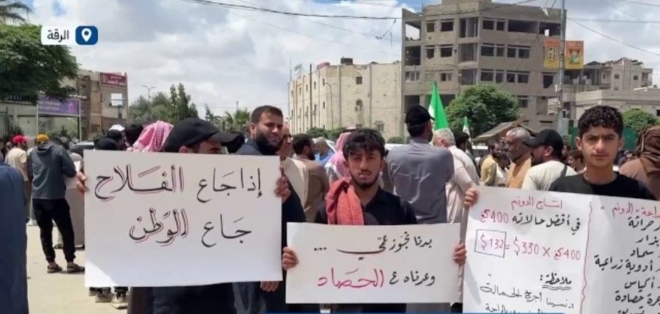 سوريا: تغيير سعر شراء القمح إلى 55 ألف ليرة جديدة بمرسوم موقَّع منذ أيام