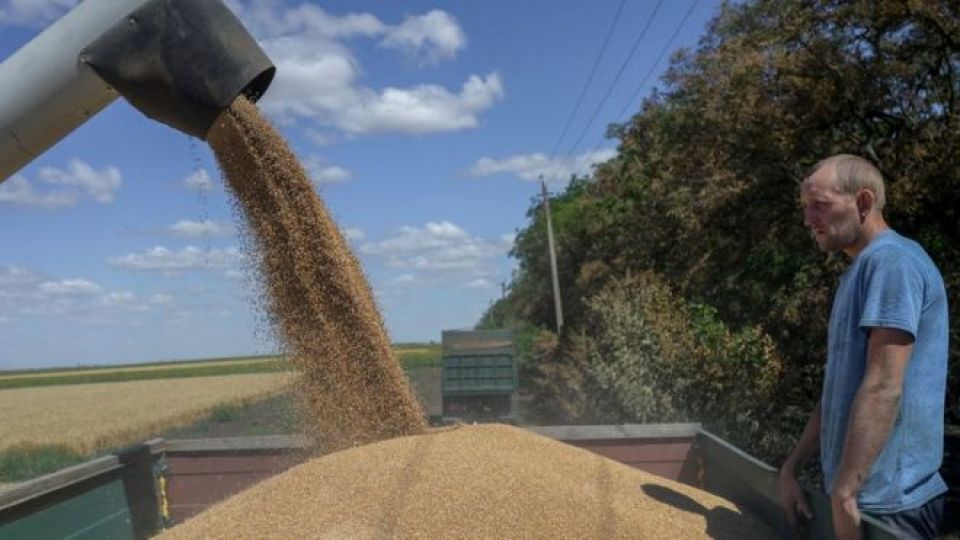 أزمة الحبوب عالمية أم أوروبية وأمريكية؟