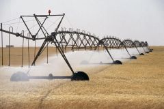 الجزائر تغيّر شروط استيراد القمح لإنهاء الاحتكار الفرنسي
