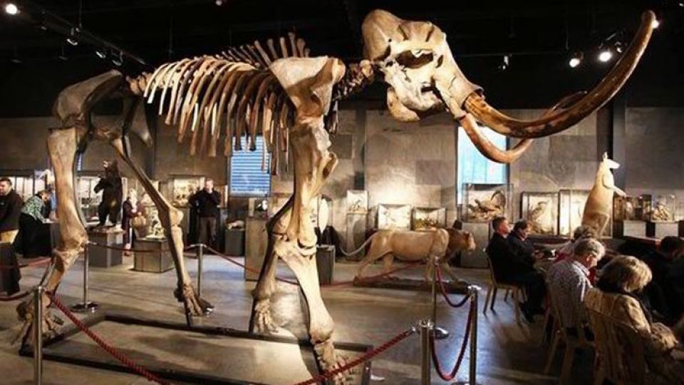 أخبار العلم