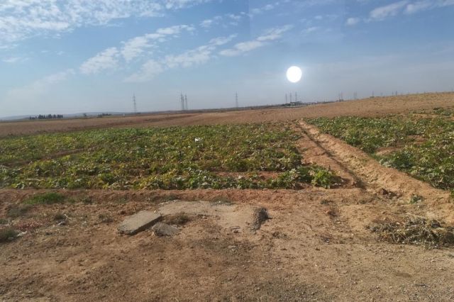 الجراد والجفاف واستكمال عوامل الإضرار بالفلاحين وبالاقتصاد!
