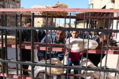 220 ألف ليرة حاجة الأسرة لتكاليف المعيشة الشهرية الأسعار ترتفع بأكثر من  25% خلال 3 أشهر