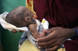 اليونيسف تطلب 3.1 مليار دولار لمساعدة 62 مليون طفل حول العالم