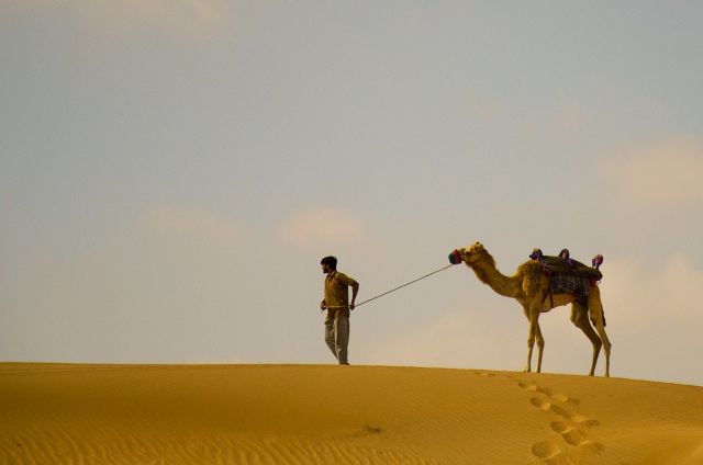 البحثُ عن بطلٍ ضائع..!؟