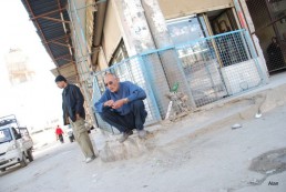 الشمس والعيون المدوّرة