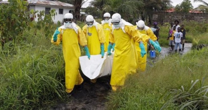 دراسة: سياسات النقد الدولي وراء انتشار ايبولا في غربي أفريقيا