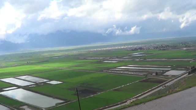 الغاب بلا &laquo;مواسم&raquo;