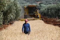 استراتيجية 2026&ndash;2030 الزراعية... رؤية طموحة أم انسحاب تدريجي