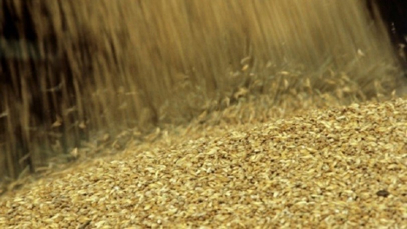 موسكو وكاراكاس توقعان اتفاقا لتوريد القمح