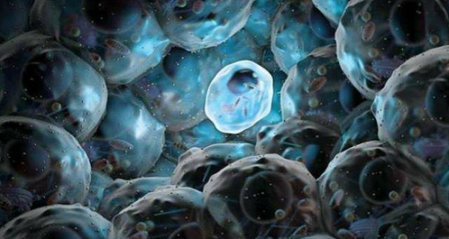 اكتشاف خلايا جذعية بشرية جديدة بمميزات استثنائية