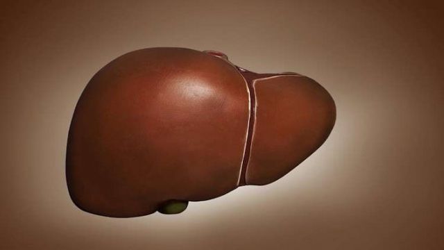 عوامل تؤثر سلباً في صحة الكبد