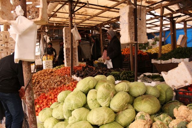 أسعار الخضروات المنخفضة.. رهن عجلة ربح التصدير!