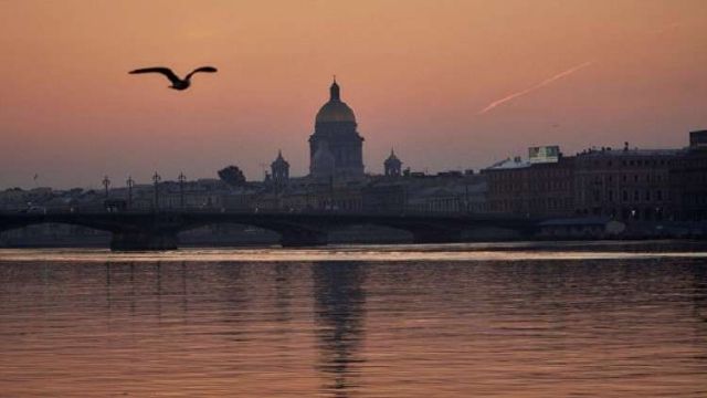 "ميدان الفنون" في بطرسبورغ