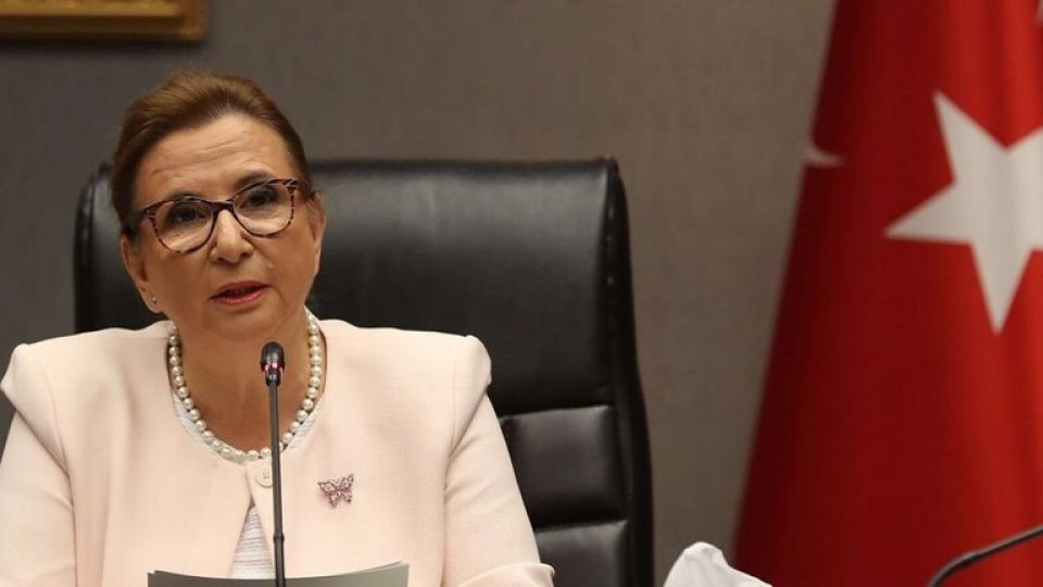 اتهامات بـ&laquo;الفساد&raquo; و&laquo;استغلال الوباء&raquo; تلاحق وزيرة تركيّة