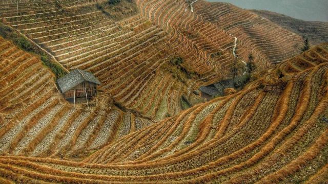 الصين تزرع (إسبانيا) في أراضيها