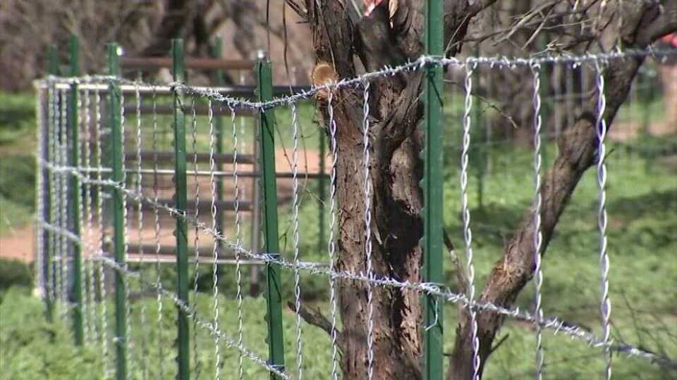 لماذا يكدّس الأثرياء الأراضي وموارد الحياة؟