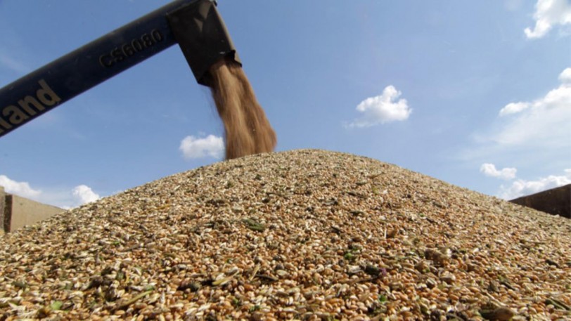 القمح &laquo;المسرطن&raquo; إلى سورية... بقرار قضائي!