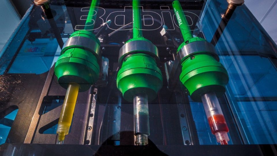 أخبار العلم:طبع عضو عامل على طابعة بيولوجية