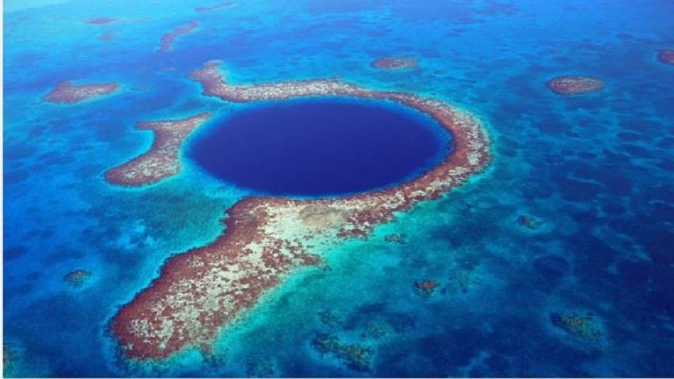 كشف غموض &laquo;هالات&raquo; الشعاب المرجانية المضيئة