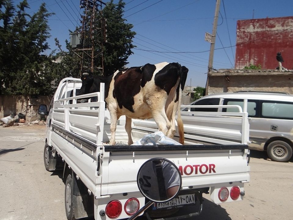 نقابة الأطباء تخترع!!