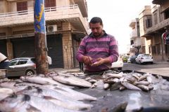 قصور الدرق بين اللاذقية وحلب