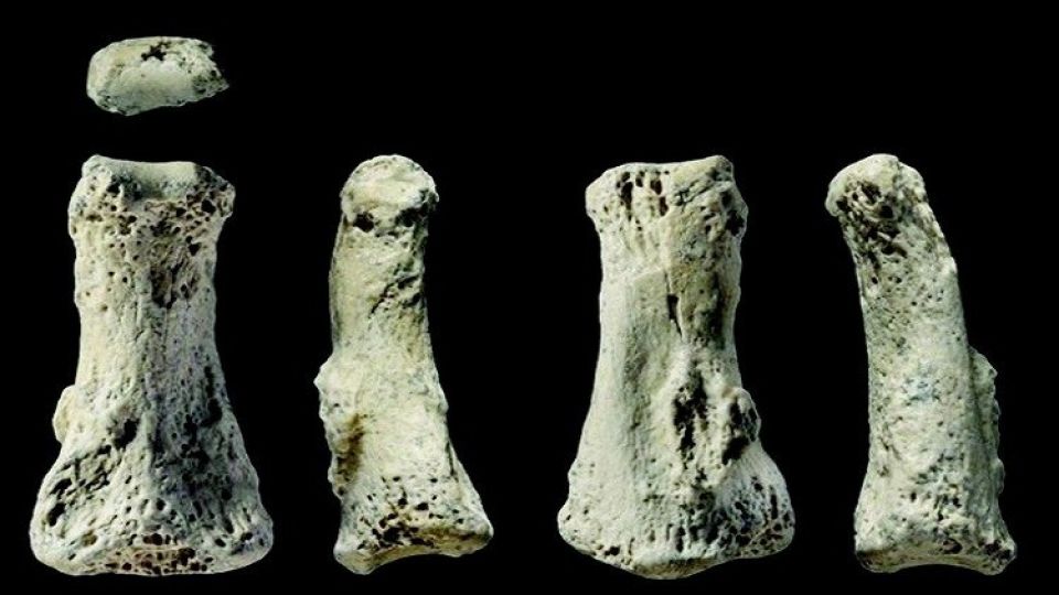 أخبار العلم