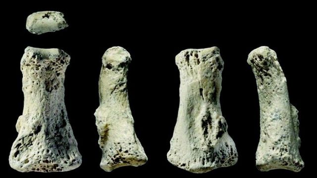 أخبار العلم