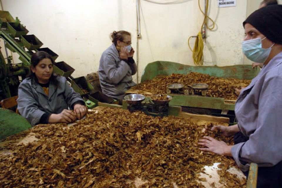 كيف نشأت نقابات عمال الساحل؟