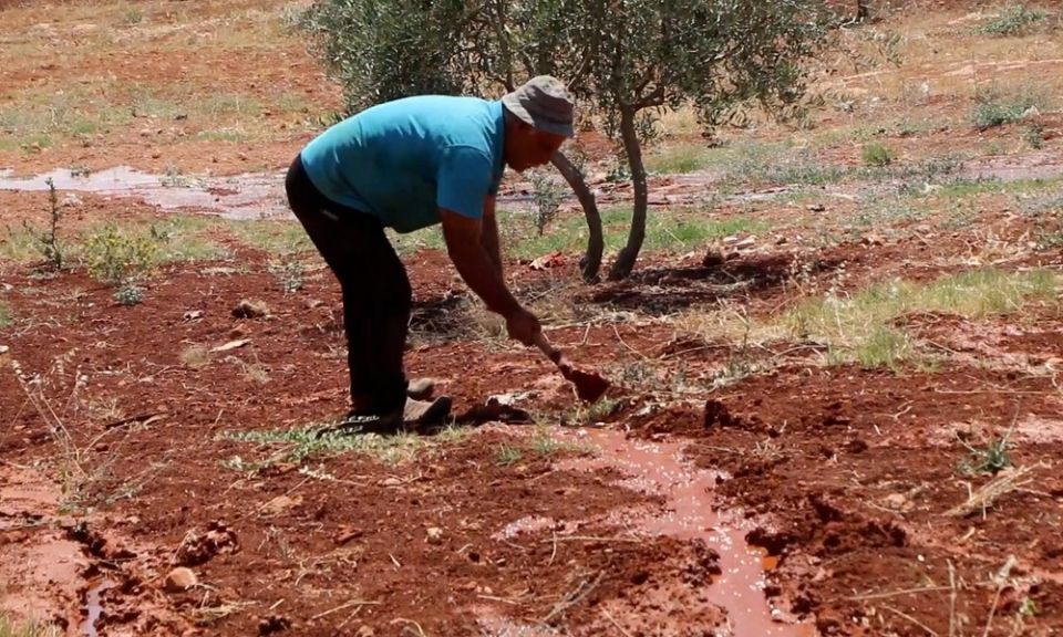 شركات دولية خاصة للتأمين ضد الجفاف في سورية