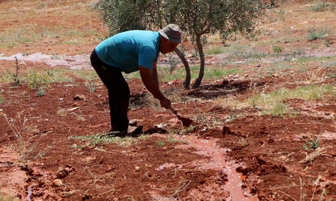 شركات دولية خاصة للتأمين ضد الجفاف في سورية