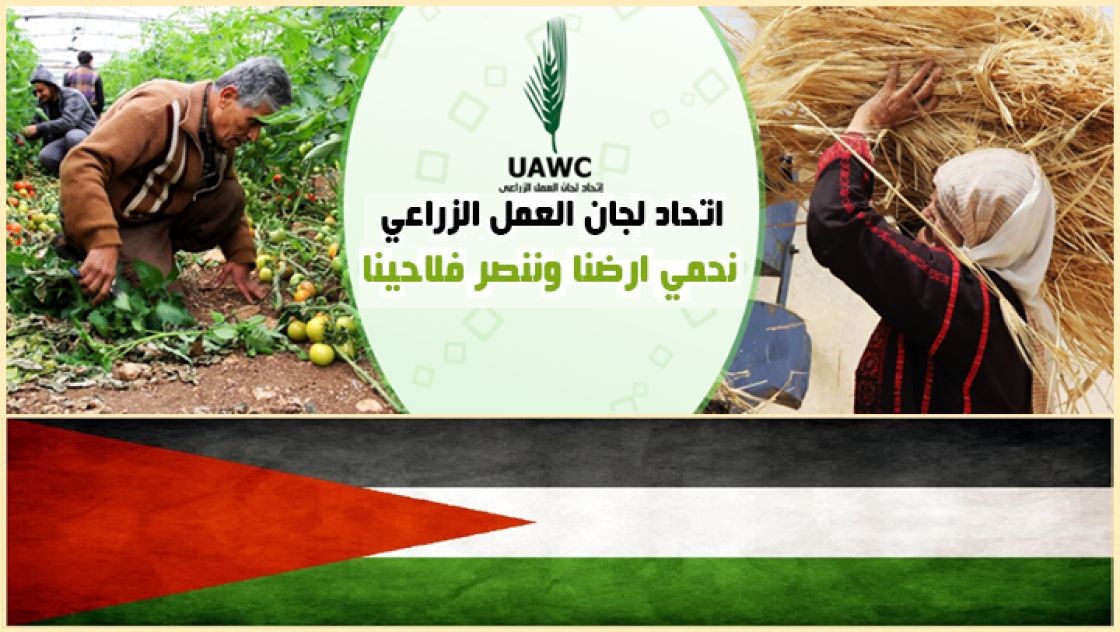 إضاءة على «بنك البذور الفلسطينية» المهدّد بتدميره من الاحتلال