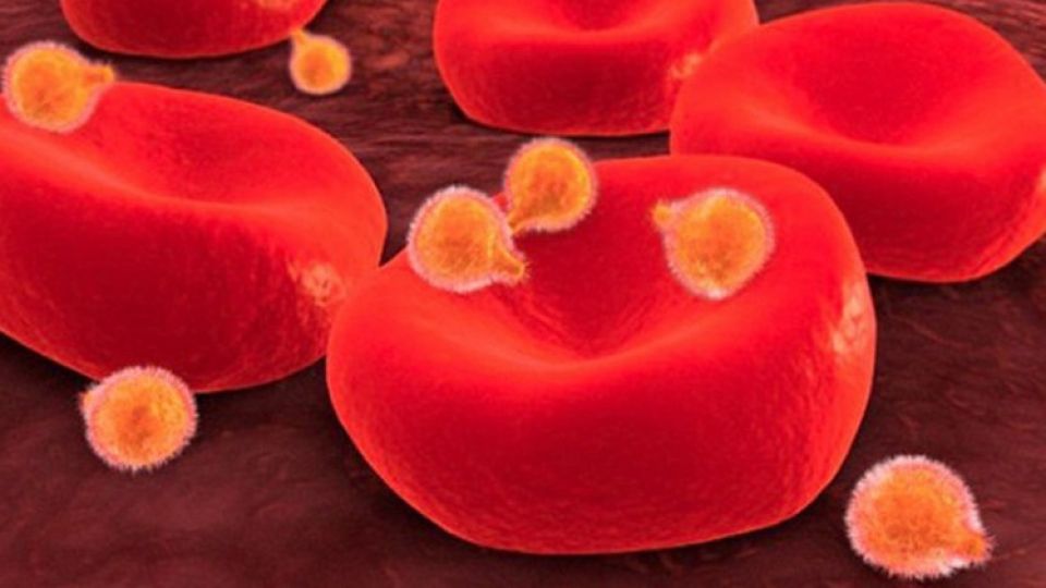 أخبار العلم