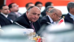 شكري: مصر لن تشغل نفسها بالرد على تصريحات تركية متناقضة