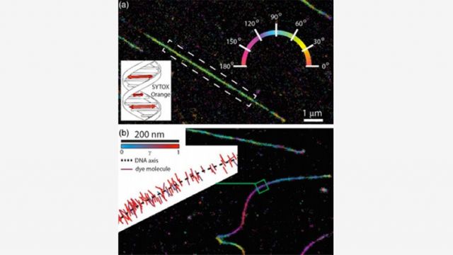 أخبار العلم