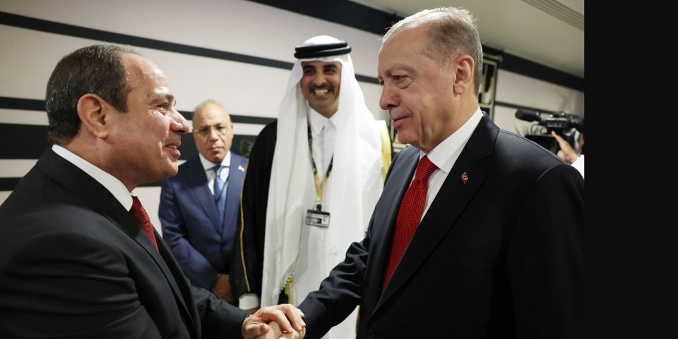 تركيا: لقاء بين أردوغان والسيسي لإنهاء القطيعة بين البلدين