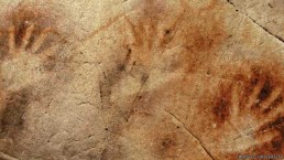 رسوم الكهوف تغيّر الأفكار حول أصل الفن