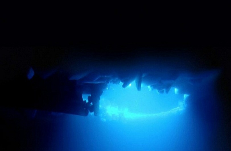 كائنات حية في باطن القارة القطبية الجنوبية