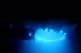 كائنات حية في باطن القارة القطبية الجنوبية