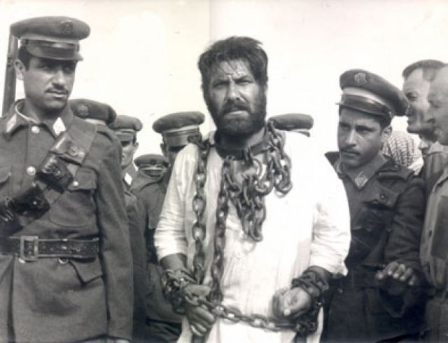 حين يثور الفهد وحده..  يُشنق!