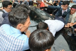 &laquo;البَيض&raquo;: عقوبة التابعين إلى واشنطن..!