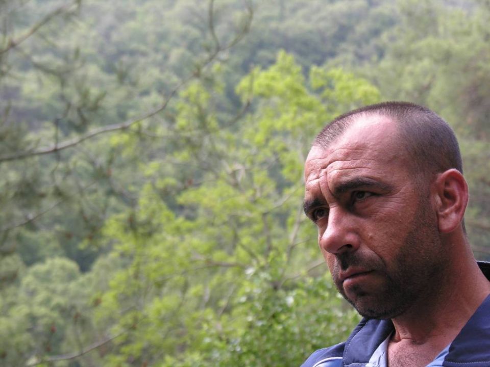 في علاقة الإنسان بالغابة