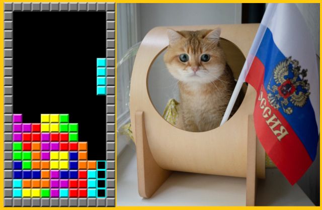 عقوبة على &laquo;القطط الروسية&raquo; تنال سخرية واسعة: التالية هي Tetris؟!