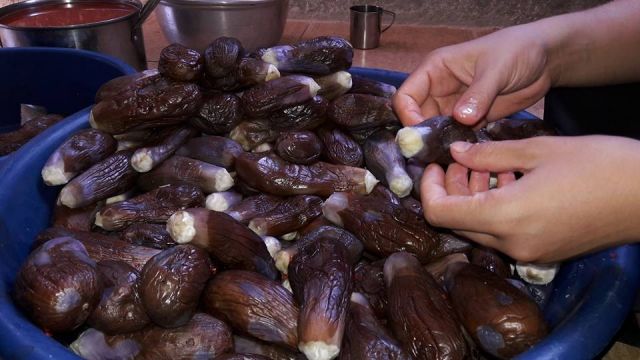 مكدوس ووجع راس