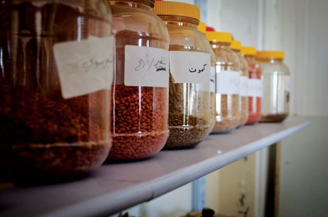 وجدتها: حفظ التنوع الحيوي