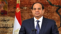 السيسي: القوات الجوية المصرية قامت بما توجب عليها في ليبيا
