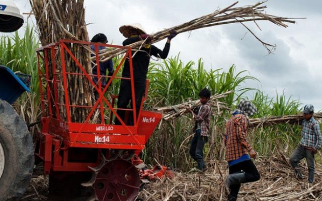 نشوء الحركة العمالية والنقابية في السودان